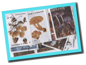 50 different MUSHROOMS on stamps